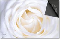 Dietrix Inductie Beschermer - 76x51.5cm - Bloemen en Planten - Witte Roos