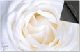 Dietrix Inductie Beschermer - 76x51.5cm - Bloemen en Planten - Witte Roos