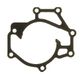 Gasket, Icecat Gasket, water pump