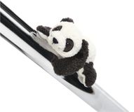MagNICI Panda Yaa Boo 12cm Blanc