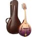 Ortega RMA200PF mandoline met koffer