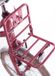 Alpina Support avant 18 Cargo berry red matt