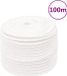 vidaXL Boottouw - 12 mm - 100 m - Polypropyleen - Wit