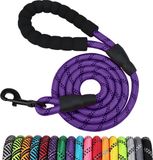 JAXY Hondenriem - Nylon Hondenlijn - Gevoerd Handvat - Robuust Touw - Reflecterende Looplijn Hond - 1,5 M - Paars