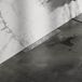 Brauer Douchegoot met Standaard Rooster en Flens Voor Wandmontage - 50 cm - Rvs Geborsteld