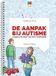 De High 5 Publishers Uitleg in Beeld 2 - De aanpak bij autisme