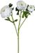 Louis Maes Ranonkel x3 l70cm wit kunstbloem