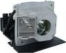 OPTOMA THEMESCENE HD8000-LV Lampe de projecteur BL-FS300B / SP.83C01G001