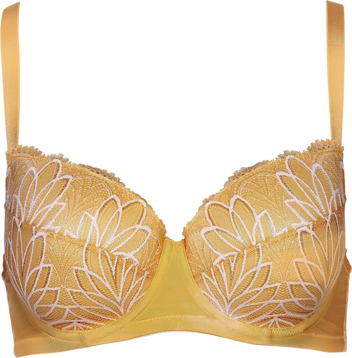 AFTER EDEN D cup & Up After Eden Padded wire bra lace Dames - Maat F80