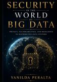 Security in the World of Big Data: Privacy, Vulnerabilities, and Resilience in Distributed Data Systems