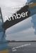 Amber: oder wie er die Welt so sieht Paperback