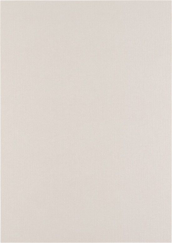 Florence Cardstock Linnenkarton - Cool Grey - Gekleurd Papier - A4 - 100 vellen - Textuur - 250 g