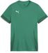 Puma TeamGoal wedstrijdshirt voor kinderen jr 705748