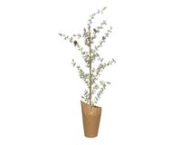 Everlands Mini boom prelit h75 cm25l groen/wit