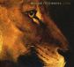 Groenland William Fitzsimmons Lions