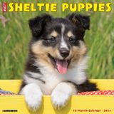 Willow Creek Press Sheltie Puppies 2027 12 X 12 Wall Calendar