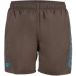 Arena Zwemshort Fundamentals Logo R