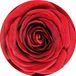 Bellatio Decorations Bierviltjes onderzetters rode roos/rozen 20x stuks - Valentijn of bloemen thema