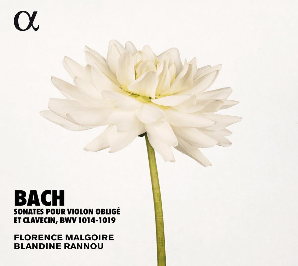OUTHERE Sonates Pour Violon Oblige Et Clavecin. Bwv 1014-1019 - Muziek