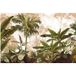 Forêt Tropicale Papier Peint Panoramique - 385 cm x 255 cm