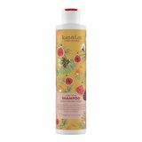 Jean & Len Kleurglans shampoo arganolie & vijg, vegan, 300 ml