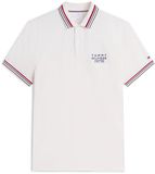 Tommy Hilfiger Polo Homme Coton XXL
