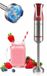 Royalty Line ESTM800 Mixeur plongeant - Rouge