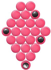 Kleine roze planningsmagneten - 24 stuks