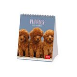 Legami Tafelkalender 2027, Puppy's, Bureaukalender, 12 Maanden en Jaarplanner, in 6 Talen, Sterrenbeelden, Internationale Feestdagen, 12 x 14,5 cm