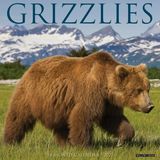 Willow Creek Press, Grizzlies 2027 Wandkalender