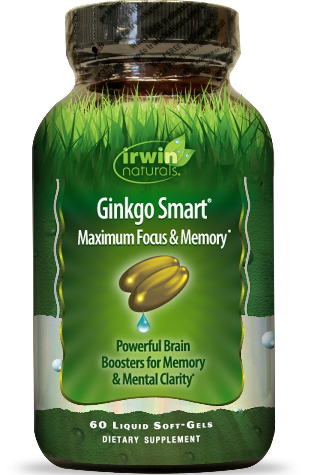 Irwin Naturals Ginkgo Smart Soft Gel Capsules
