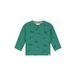 Babyface longsleeve met print - groen