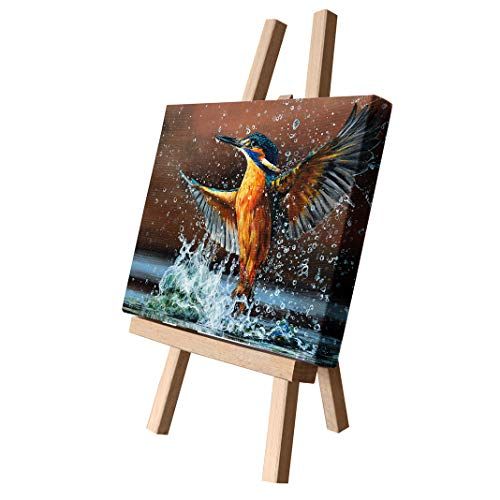 Koning Van Het Noorden Canvas Cutie 15X20
