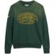 Superdry Lo-fi Outdoors Relaxed Fit Sweatshirt Groen S Man