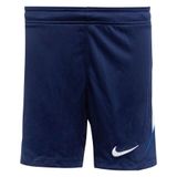 Nike Strike26 Shorts