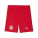 PUMA Sportbroek 'FC Red Bull Salzburg 25/26' rood / wit