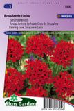 Sluis Garden Brandende Liefde Scharlakenrood (Lychnis)