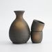 Merkloos / Sans marque Tokyo Design Studio Sake Set Bizenbuki 3-delig 300 ml & 50 ml Bruin