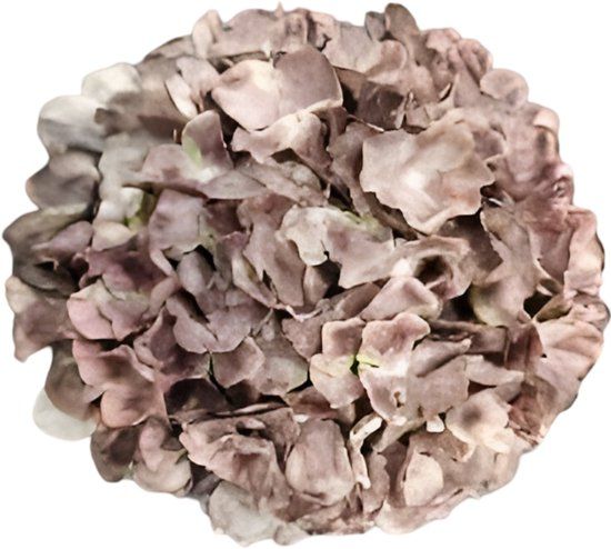 Buitengewoon Boet Buitengewoon de Boet Kunst hortensia tak bruin 92 cm