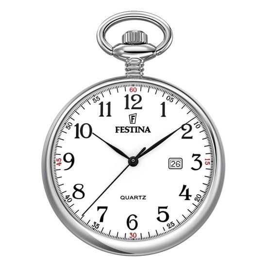 Festina F2019/1 - Zakhorloge - Staal - Zilverkleurig - Ø 42 mm