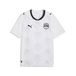 PUMA EFA Away Jersey Replica