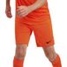 Nike Heren Shorts M Nk Df Park Iii Shorts Nb K, Safety Oranje/Zwart, BV6855-819, L