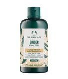 The Body Shop Ginger Scalp Care Conditioner Conditioner