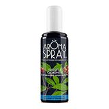 Aroma Spray Eucalyptus & Munt Kamerspray Aromatherapie met etherische oliën 100 ml