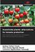 Insecticide plants: alternatives for tomato protection: Effect of tobacco (Nicotiana tabacum L.) and maguerite flower (Tithonia diversifolia) on tomato pests