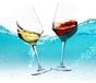 Omgoods - Set de 2 verres à vin flottants pour piscine