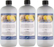 Claudius Cosmetics B.V. Body & Hair Fresh Ginger 1 liter - set van 3 stuks - 2 in 1 voor lichaam en haar.