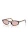 Miu Miu Sunglasses Tortoise