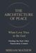 THE Libri GmbH The Architecture of Peace Paperback