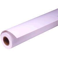 Epson Premium Glossy Photo Paper Roll - 16" x 30.5m - Glossy Finish